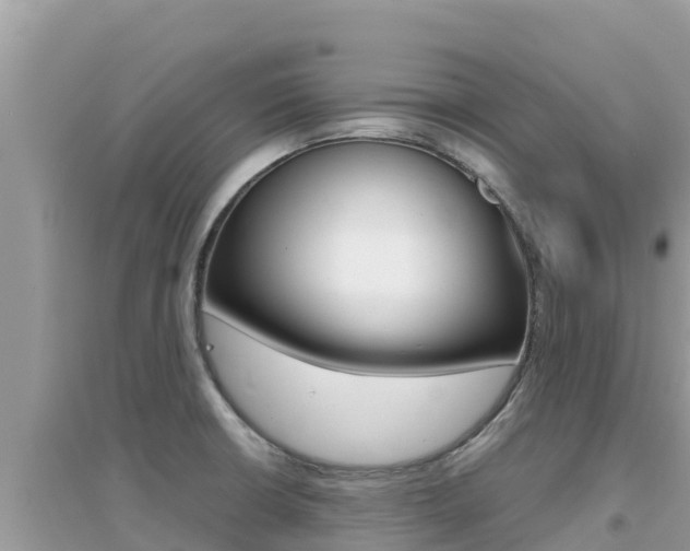 X0000095121426200712070932