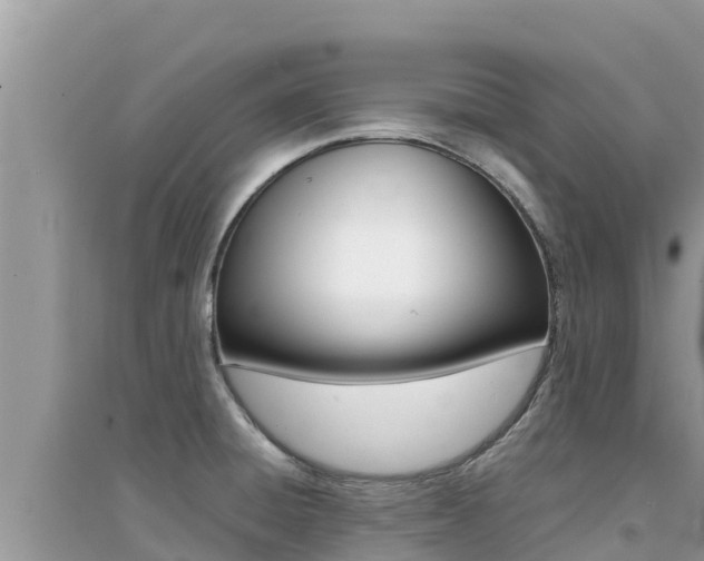 X0000095121428200712070932