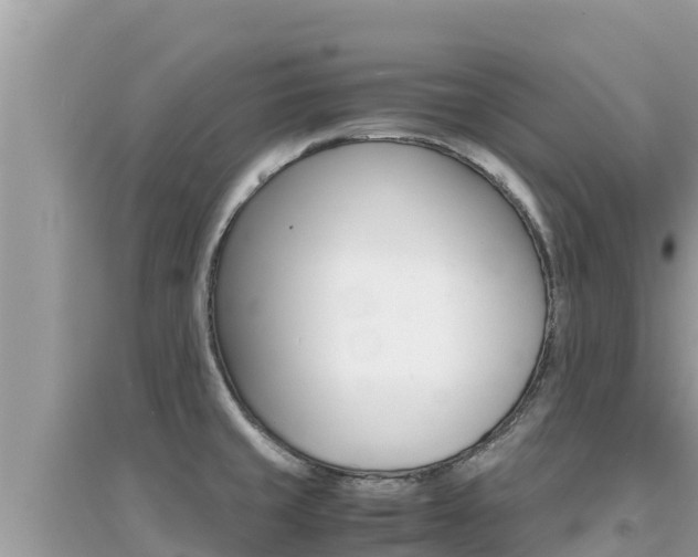 X0000095121429200712070932