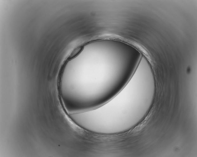X0000095121430200712070932