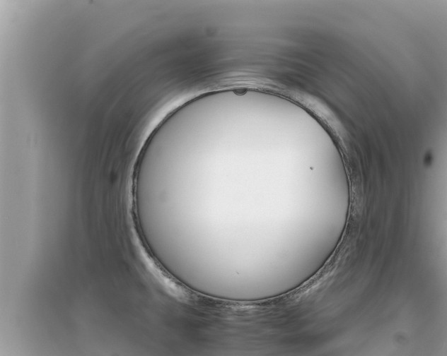 X0000095121431200712070932