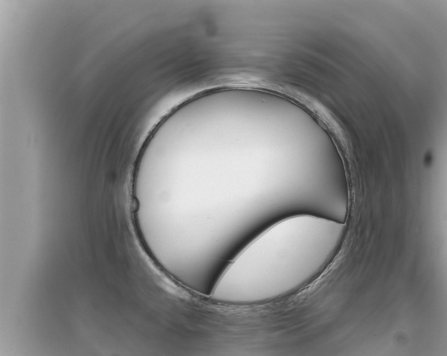 X0000095121432200712070932