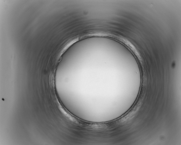 X0000095121433200712070932