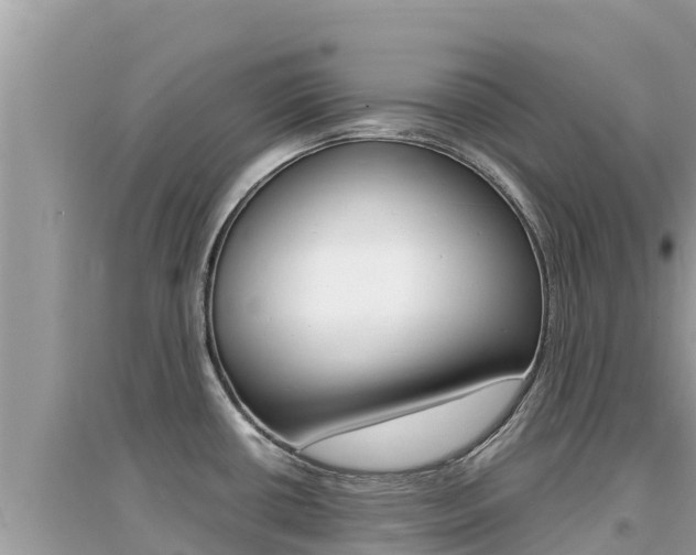 X0000095121434200712070932