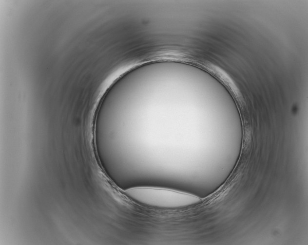 X0000095121435200712070932