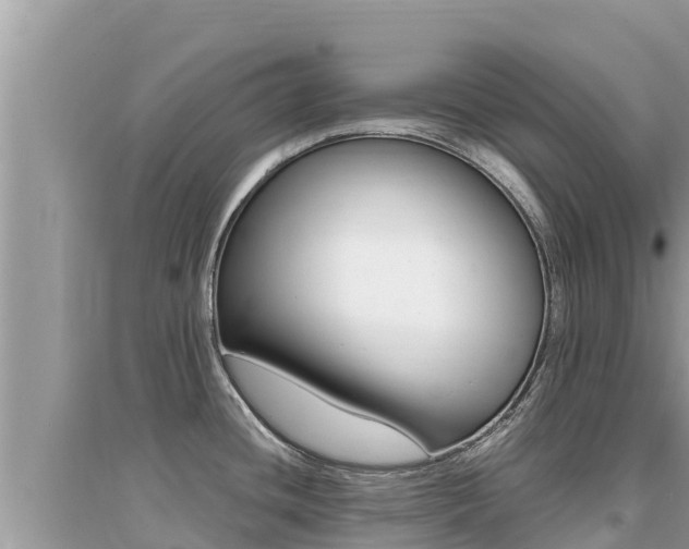 X0000095121436200712070932