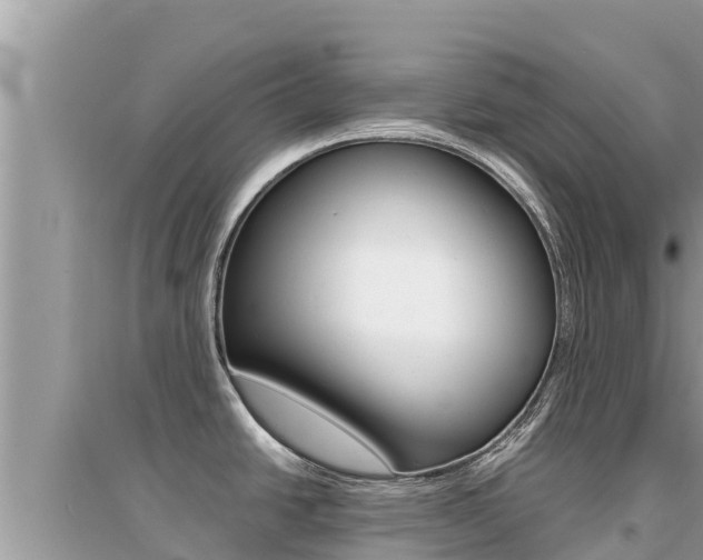 X0000095121438200712070932