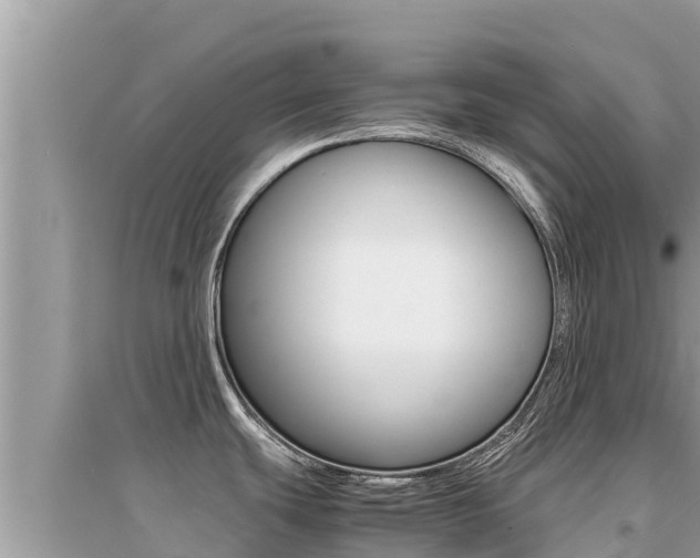 X0000095121439200712070932