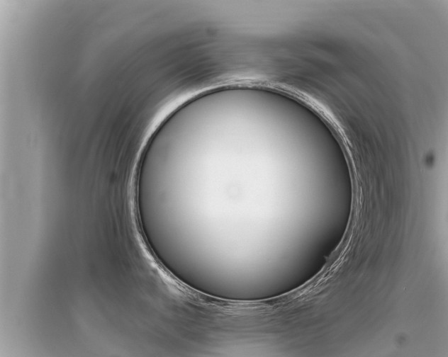 X0000095121440200712070932