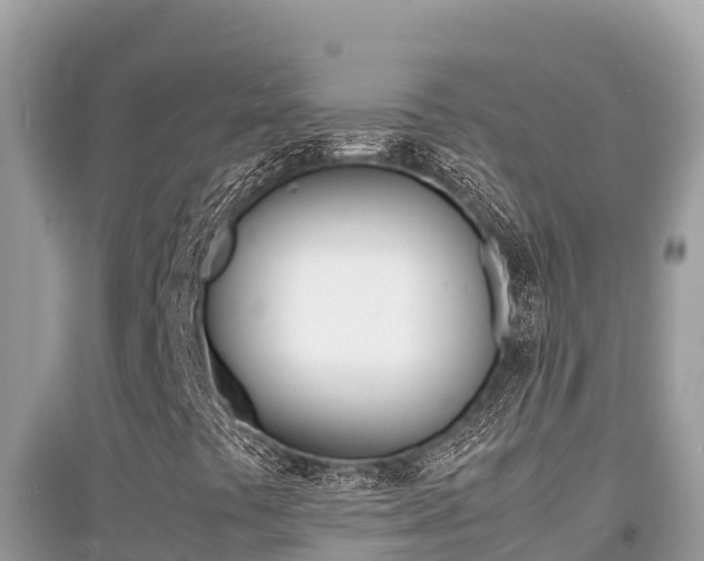 X0000095121441200712070931