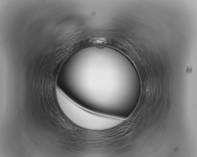 X0000095121442200712070931