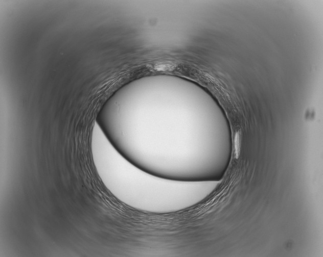 X0000095121443200712070931