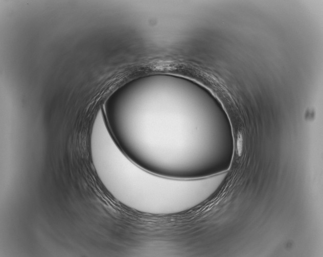 X0000095121444200712070931