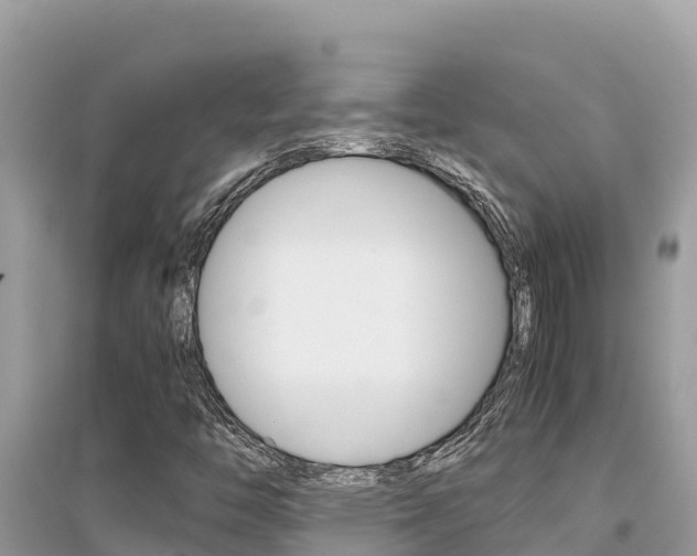 X0000095121446200712070931