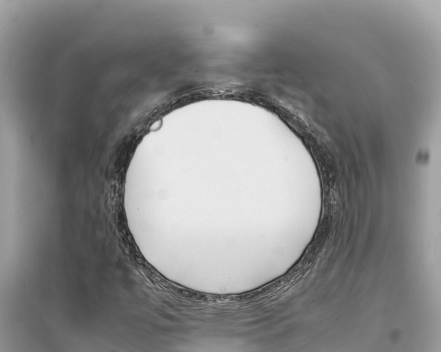 X0000095121447200712070931
