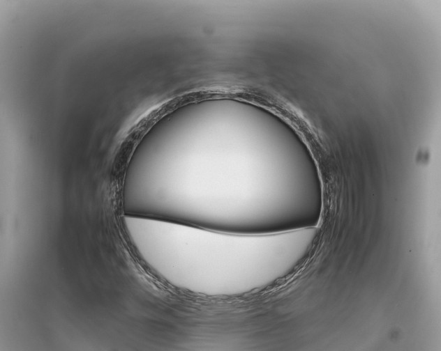 X0000095121448200712070931