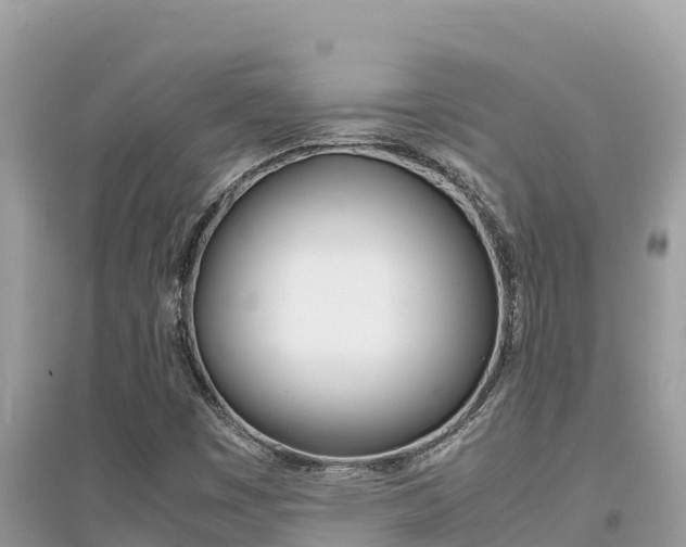 X0000095121449200712070931