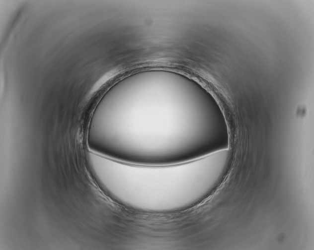 X0000095121450200712070931