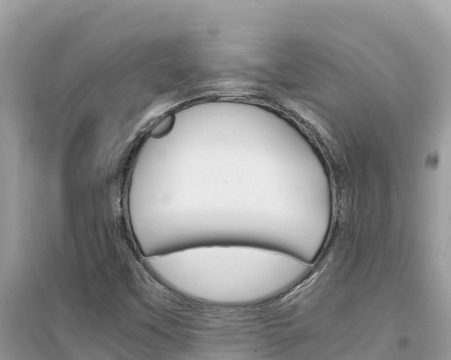 X0000095121451200712070931