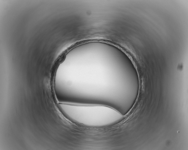 X0000095121452200712070931