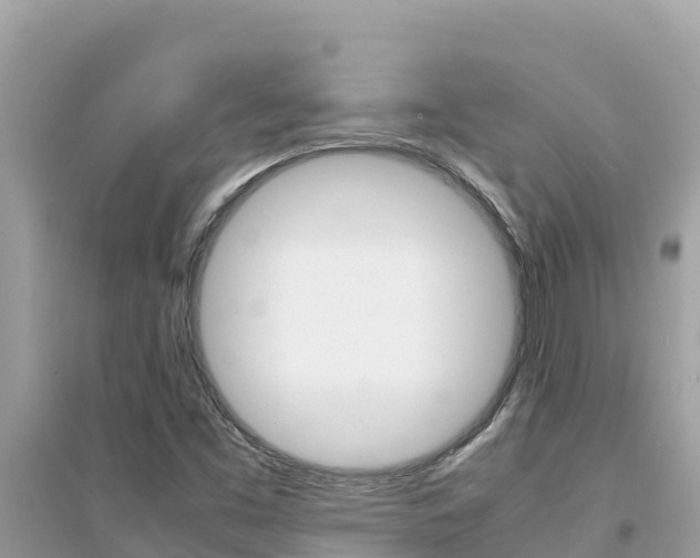 X0000095121453200712070931