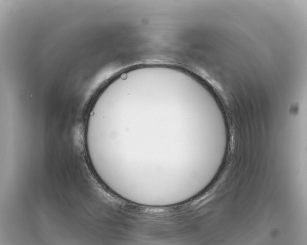 X0000095121454200712070931