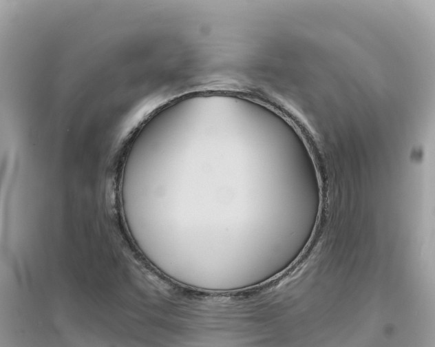 X0000095121455200712070931