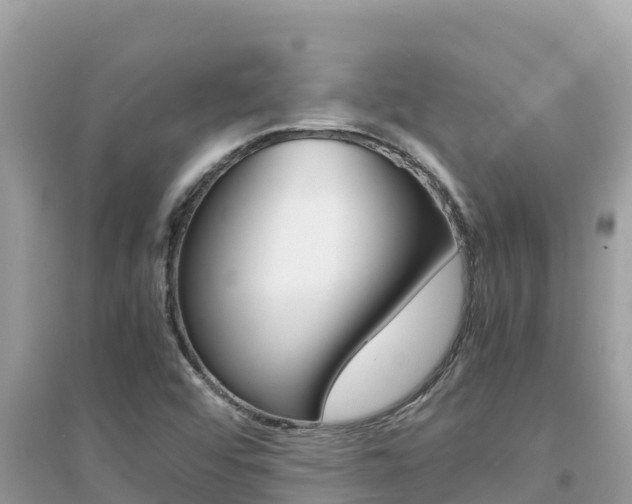 X0000095121456200712070931