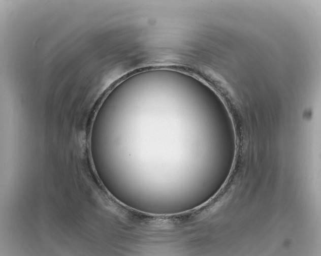 X0000095121457200712070931
