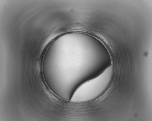 X0000095121458200712070931