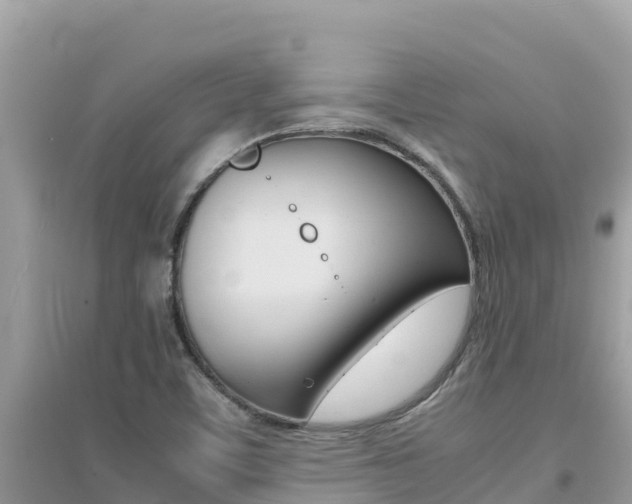 X0000095121459200712070931