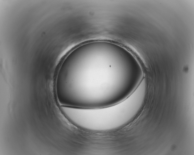 X0000095121460200712070931