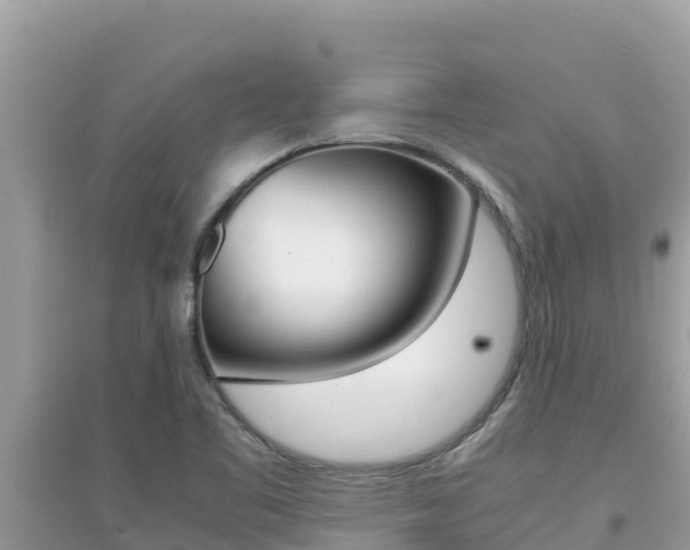 X0000095121461200712070931