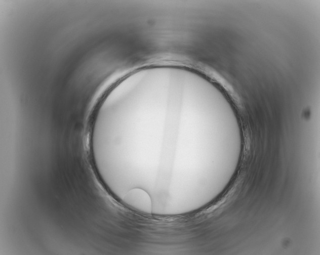 X0000095121462200712070931