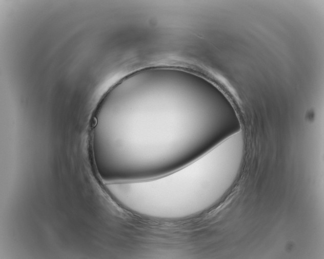 X0000095121463200712070931