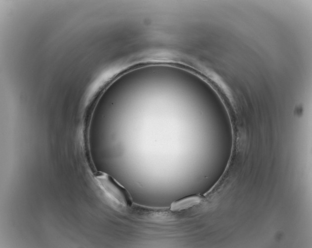 X0000095121464200712070931