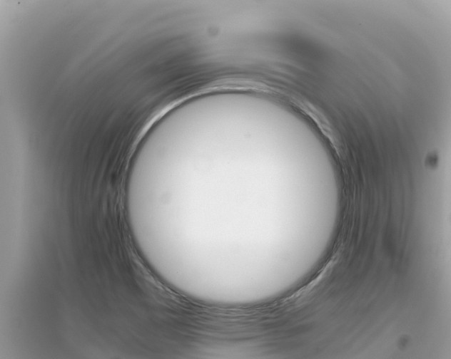 X0000095121465200712070931