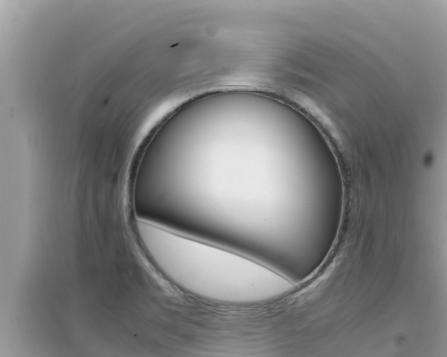 X0000095121469200712070931
