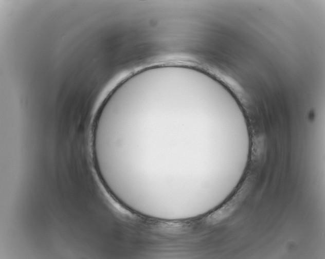 X0000095121470200712070931