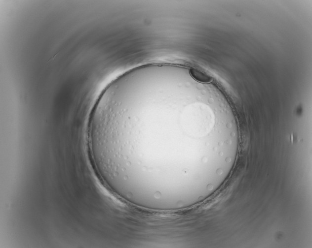 X0000095121471200712070931
