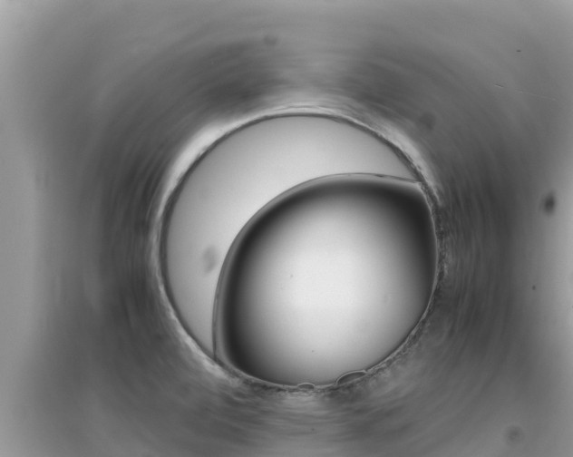 X0000095121472200712070931