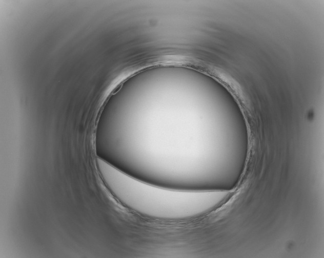 X0000095121473200712070931