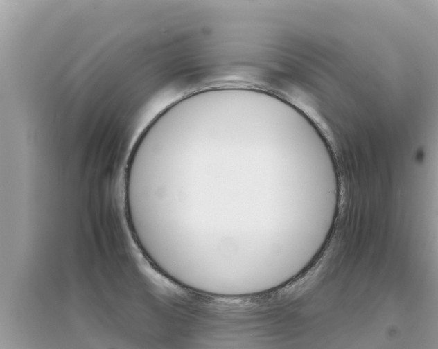 X0000095121474200712070931
