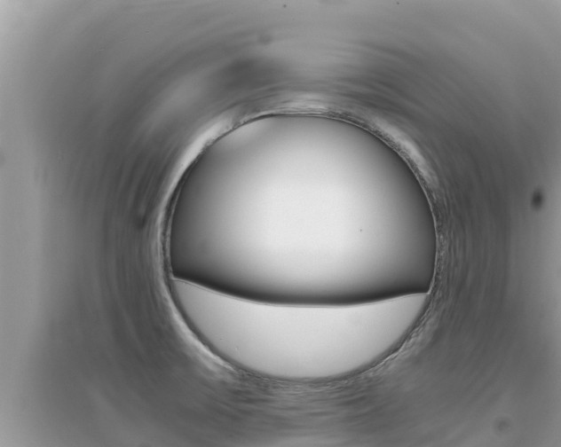 X0000095121475200712070931