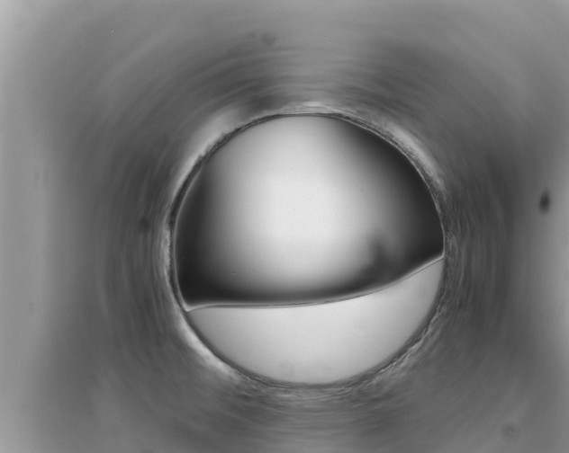 X0000095121476200712070931