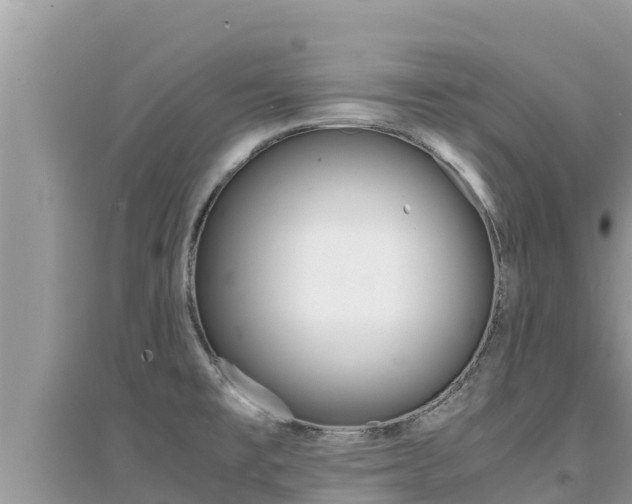 X0000095121477200712070931