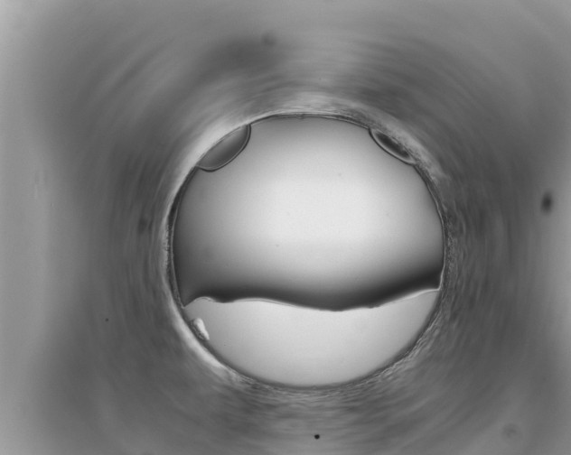 X0000095121479200712070931