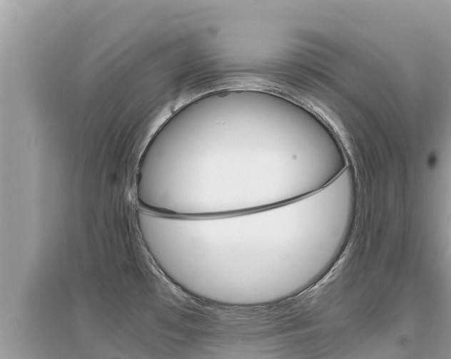 X0000095121481200712070931