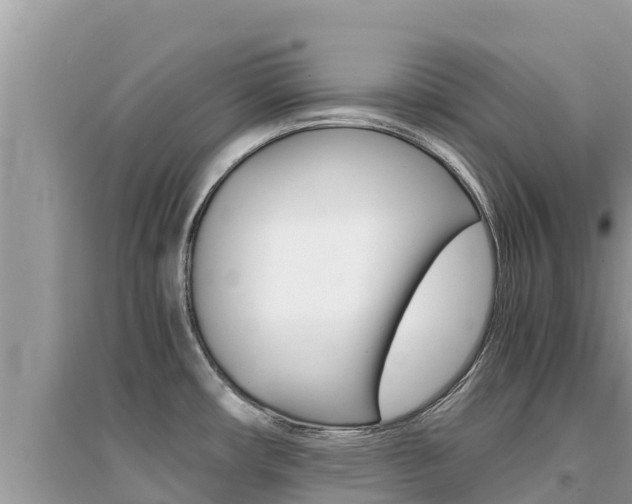 X0000095121482200712070931