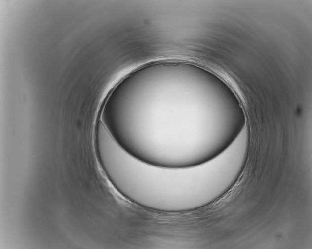X0000095121485200712070931